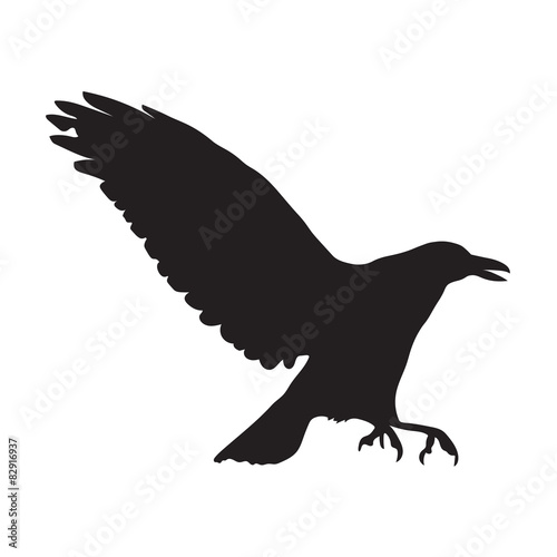 silhouette of black raven