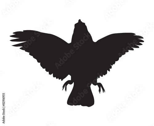 silhouette of black crow