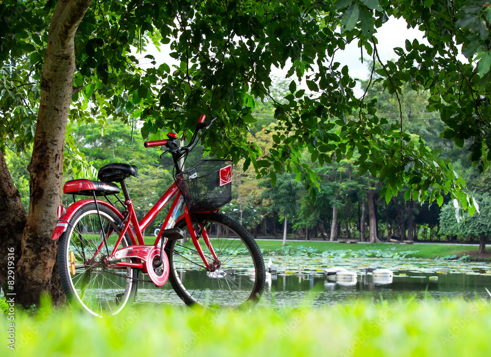 Red Bicycle under shade trees and waterfront  in Park.
