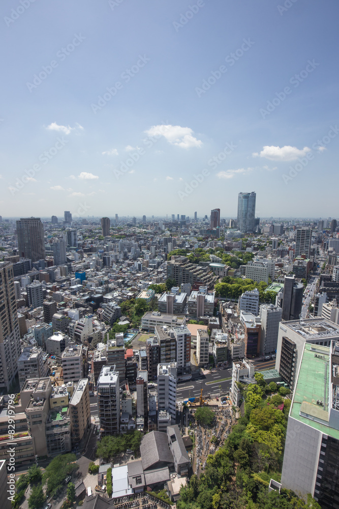 Obraz premium 東京タワーからの眺め(西側/六本木方面)