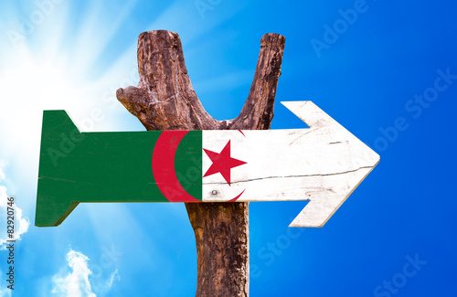 Algeria Flag wooden sign with sky background