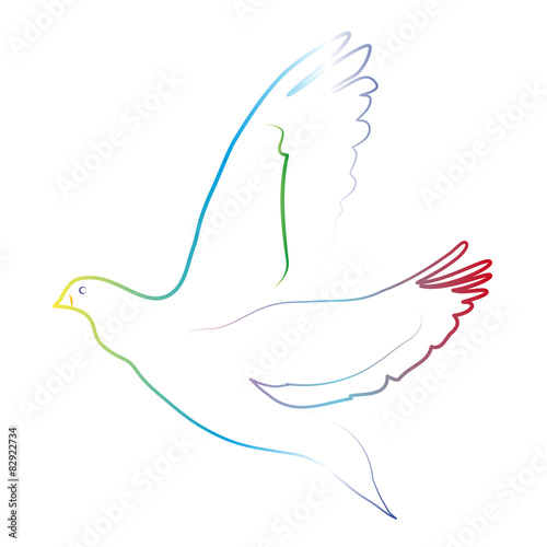 Bunte Taube - Friedenstaube, Symbol für den Frieden und Zuversicht, Toleranz und Vielfalt, Regenbogenfarben