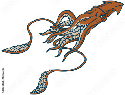 Giant Squid Isolated on White Background photo