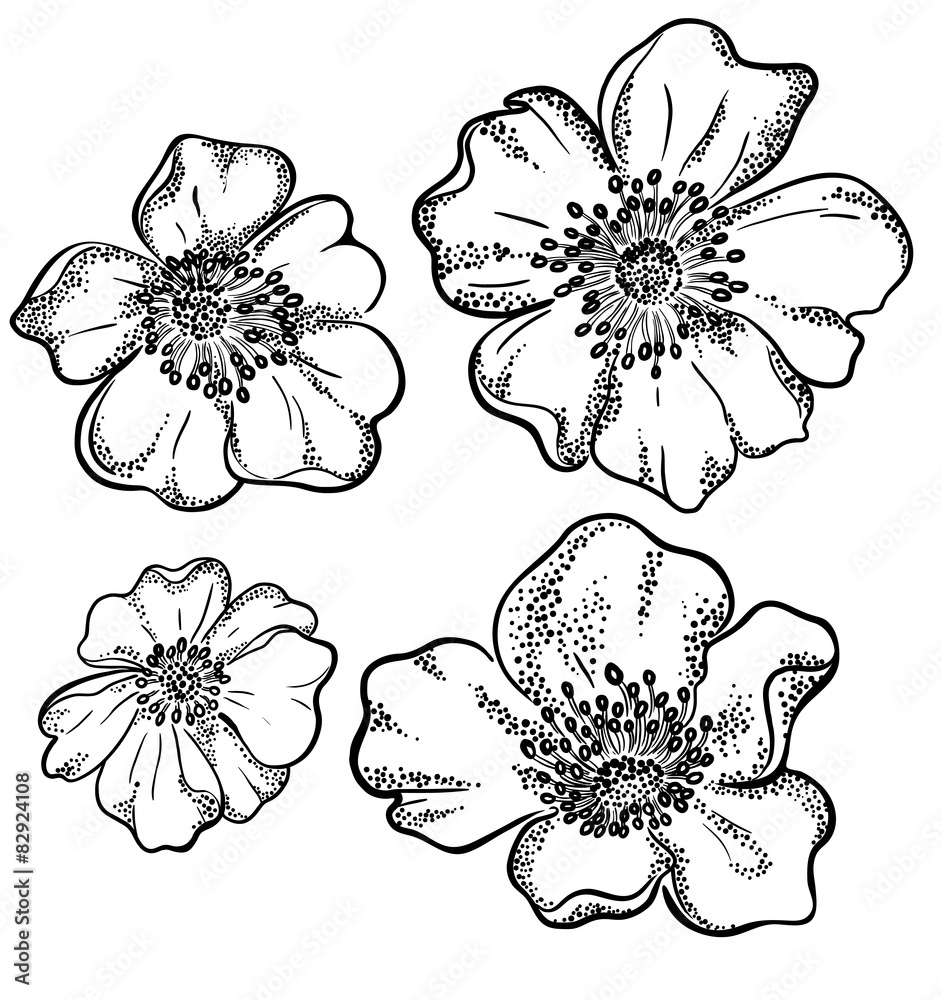 Naklejka premium vector contour flowers illustration.