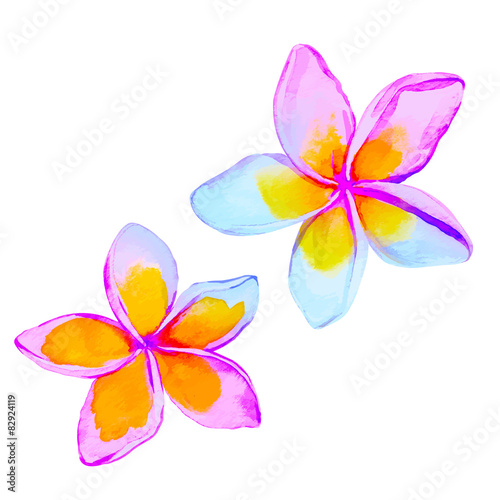 Fototapeta Naklejka Na Ścianę i Meble -  plumeria / frangipani flowers in watercolor