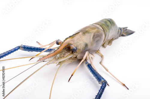 Close up prawn or raw shrimp