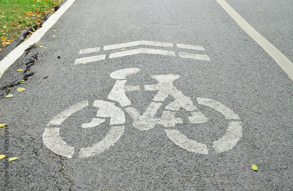 Bicycle lane Bicycle lane