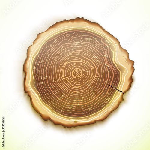 Vector drawing tree stump