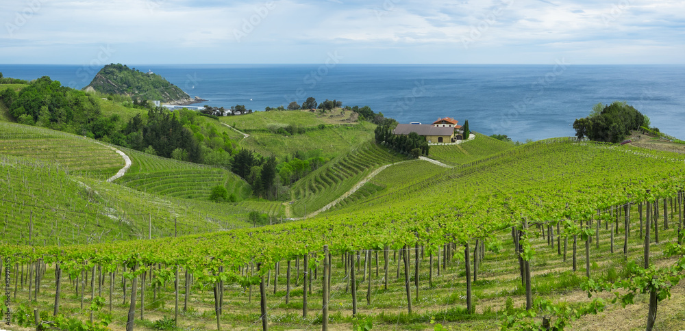 Vineyards and farm for the production of white wine with the sea