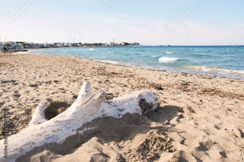 Fototapeta Naklejka Na Ścianę i Meble -  The beach