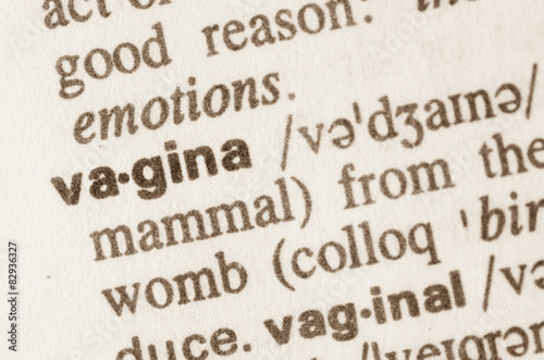 Dictionary definition of word vagina