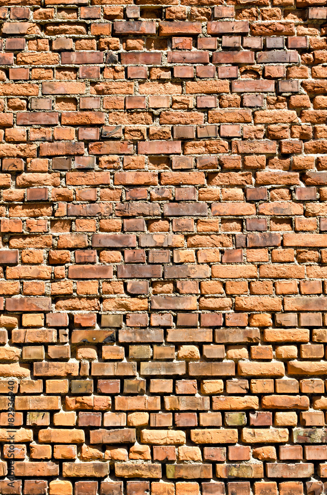 Fototapeta premium Backsteinwand