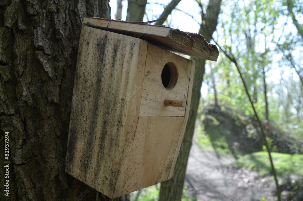 Wooden bird nesting-box on a tree stem Wooden bird nesting-box on a tree stem