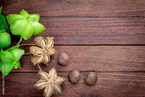 Fototapeta Naklejka Na Ścianę i Meble -  dried capsule seeds fruit of sacha-Inchi peanut