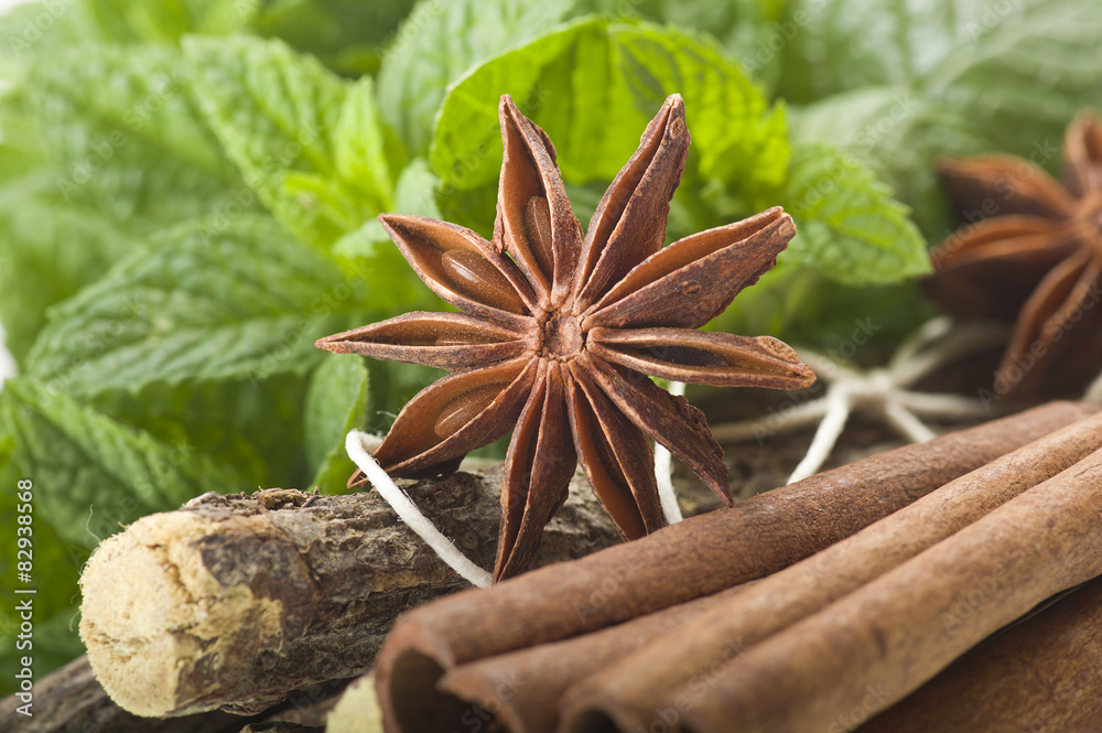 cinnamon,star anise,mint,licorice,close up on the white cinnamon,star anise,mint,licorice,close up on the white