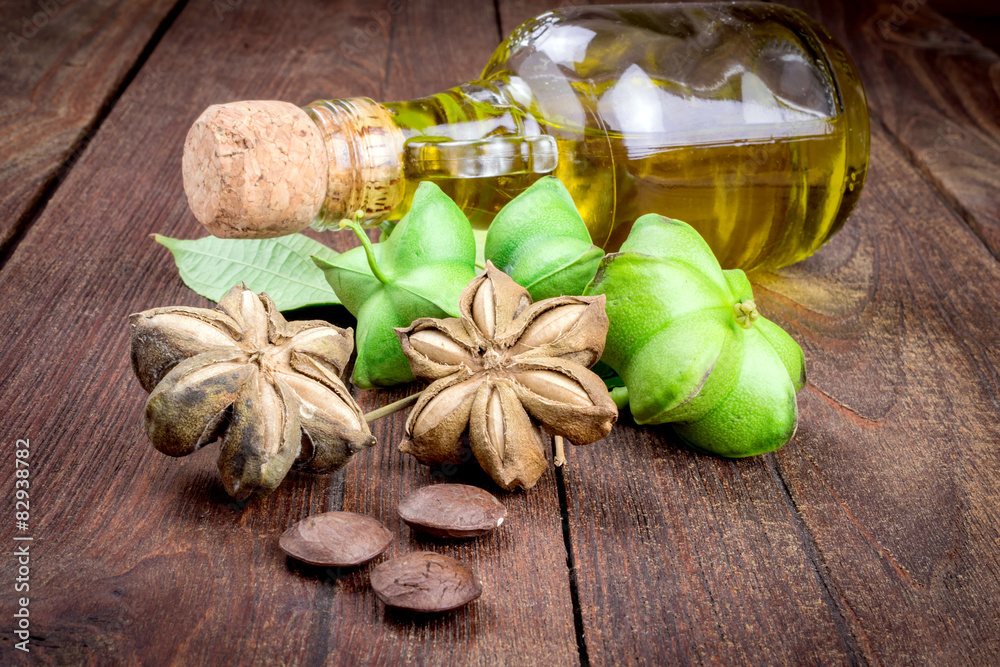 Fototapeta premium dried capsule seeds fruit of sacha-Inchi peanut