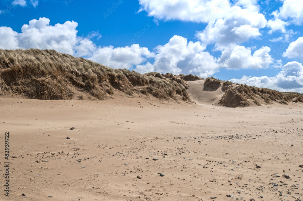 Wind Swept Grass,Sand Dunes on Beach