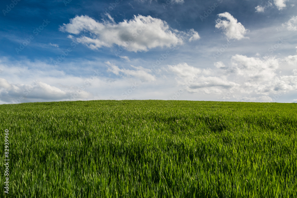 green field