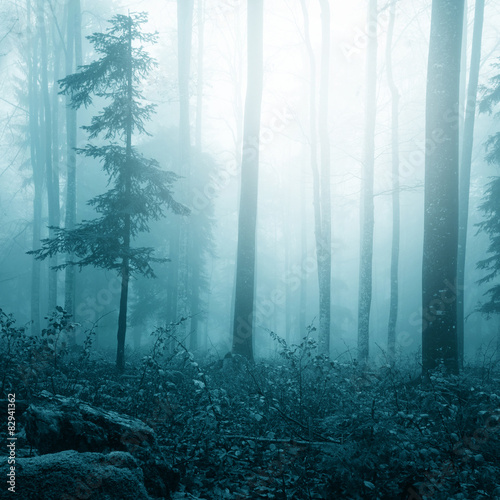 Fantasy blue color foggy bright forest