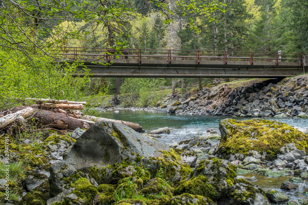 Bridge At Staircase campground in Olympic National Park. Bridge At Staircase campground in Olympic National Park.