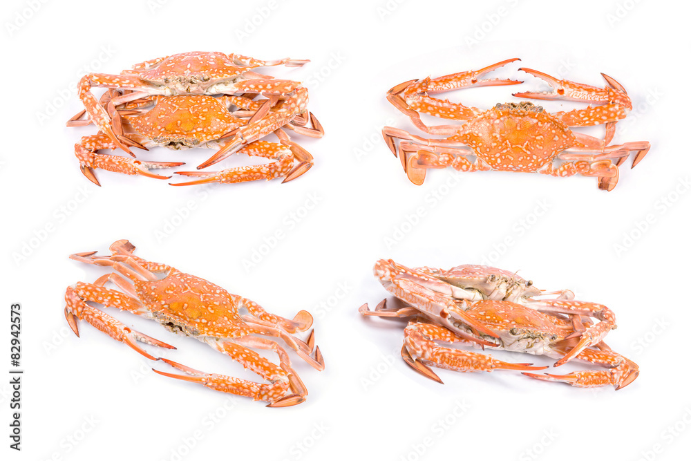 Red crab Red crab
