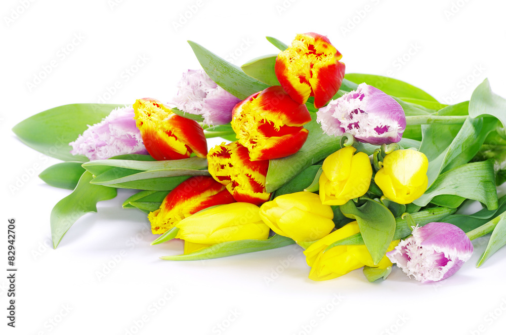 Obraz premium tulips