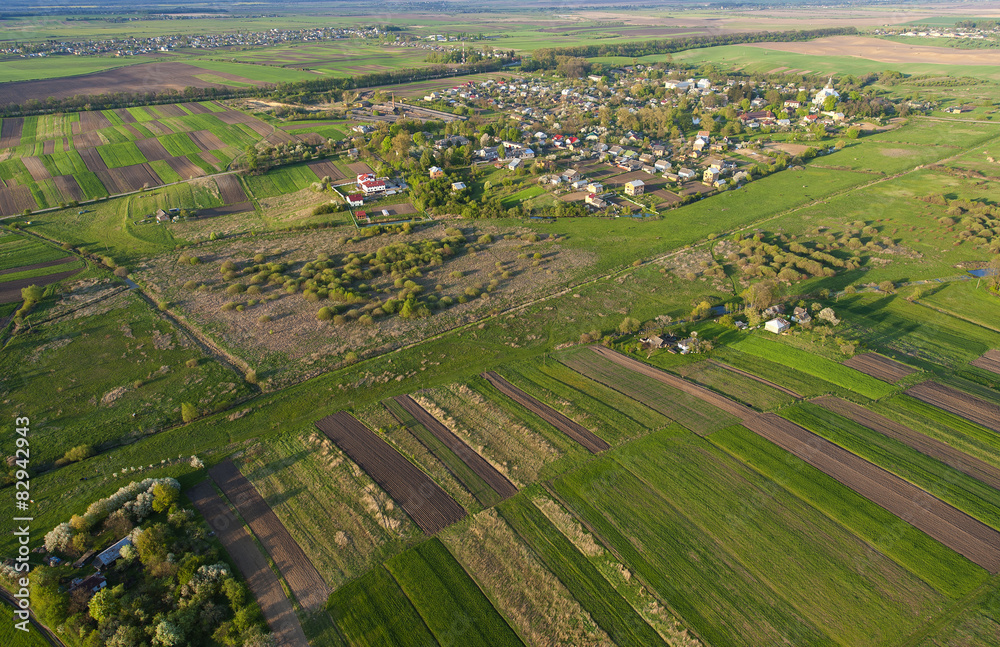 Aerial view of the large green field in spring season