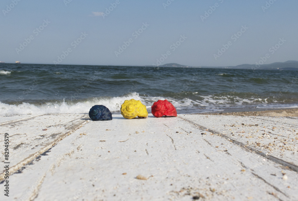 colored shells on the sea background. colored shells on the sea background.