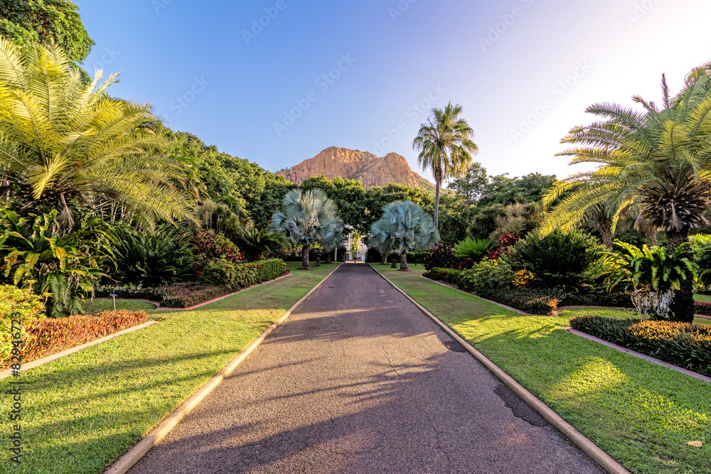 Obraz premium Tropical garden at sunset
