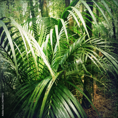 Jungle leaves
