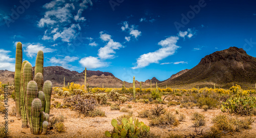 Fotografiet Arizona Desert Ladscape