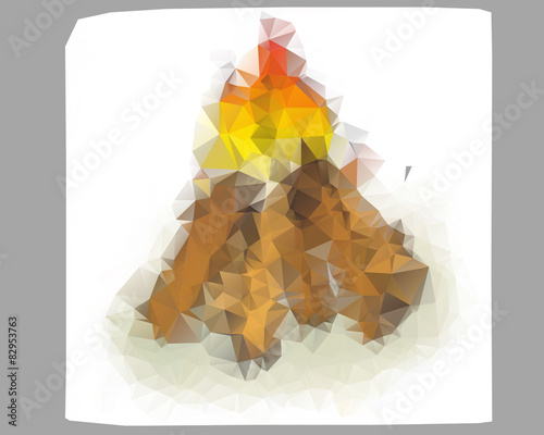  Poli bonfire illustration