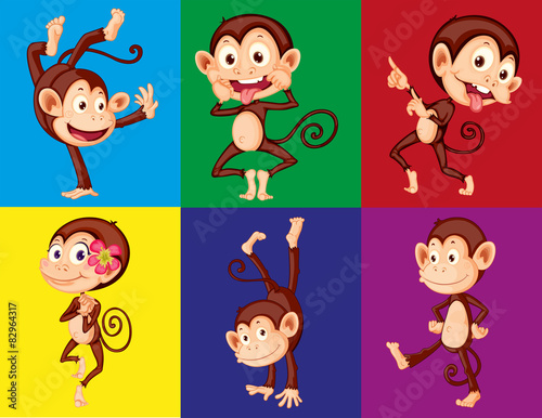 Monkeys