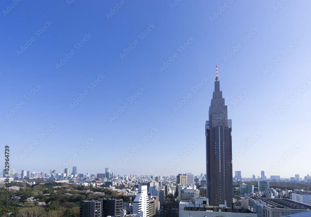 新宿高層ビルから望む東京都心全景