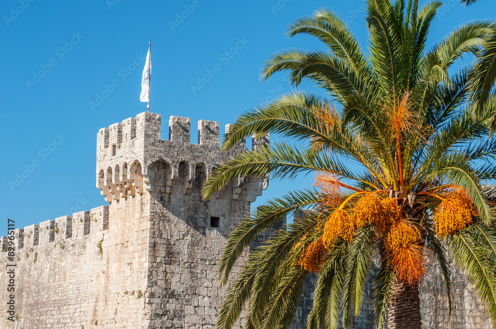 Fototapeta premium Trogir castle tower behind palm tree.