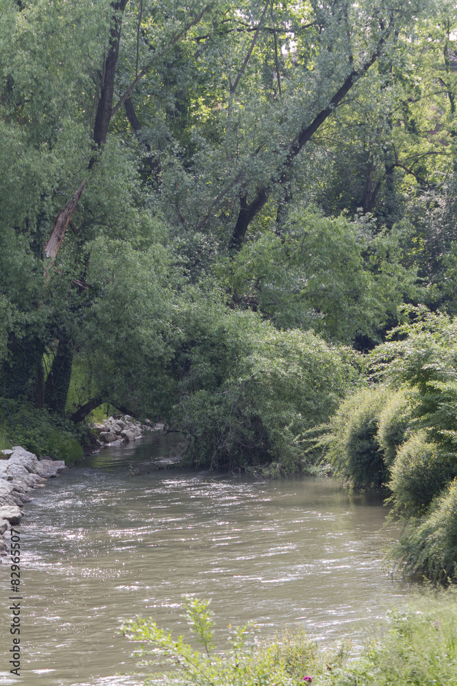 river landscape