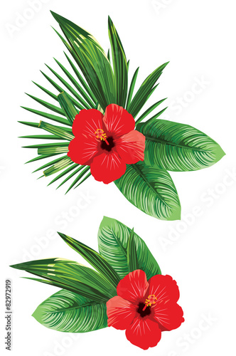 arrangement of tropical flower