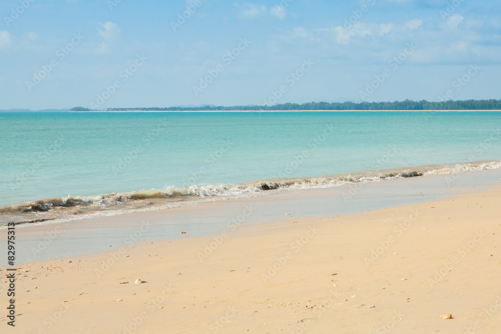 beach and tropical sea