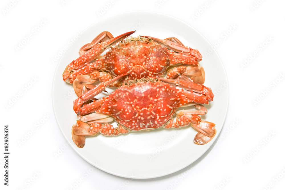 Steamed crabs on white plate Steamed crabs on white plate