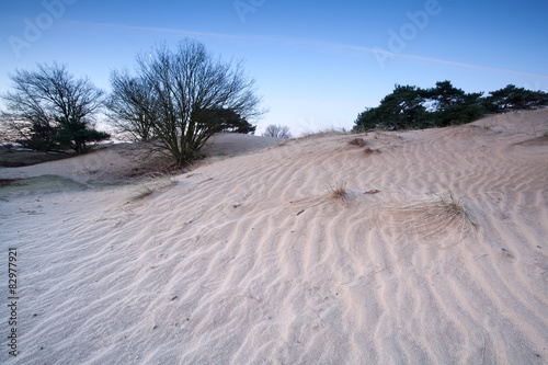 sand dune in dusk