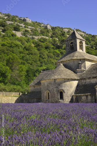 Abbaye Notre-Dame de Sénanque entourée de lavande à Gordes (84220), département du Vaucluse en région Provence-Alpes-Côte d'Azur, France