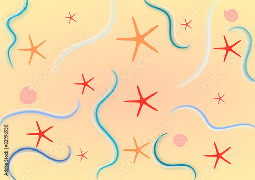 stelle marine e conchiglie