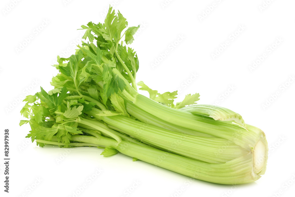 fresh celery stems on a white background fresh celery stems on a white background