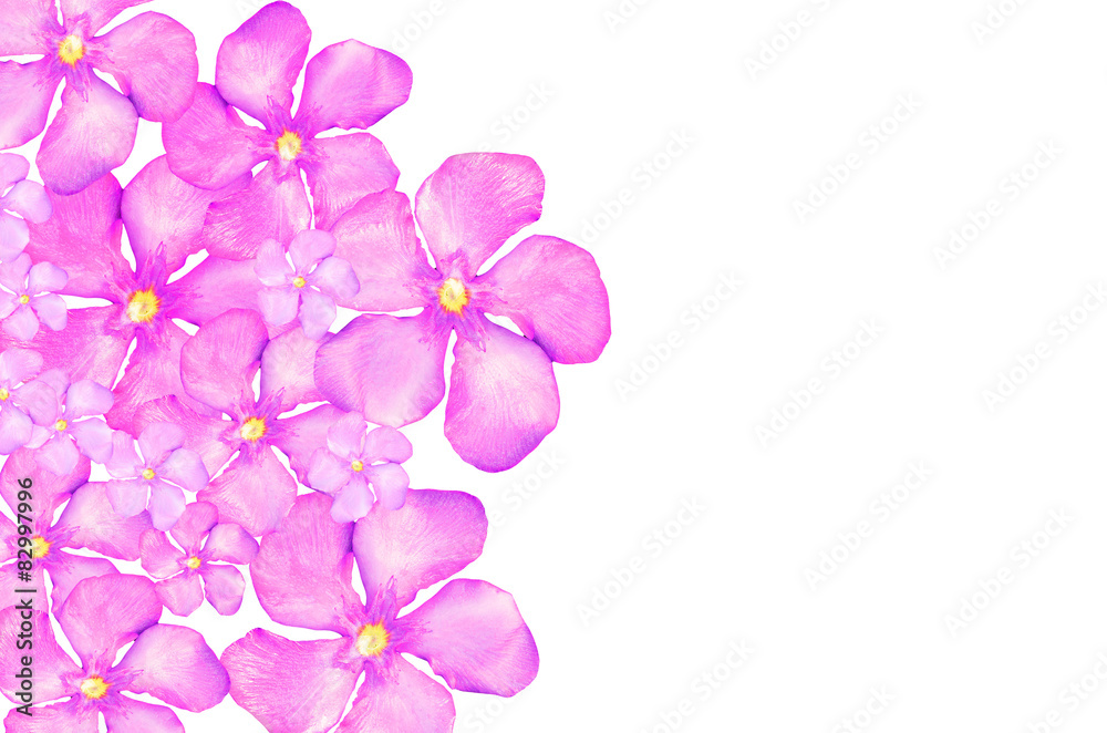 Background of pink flowers