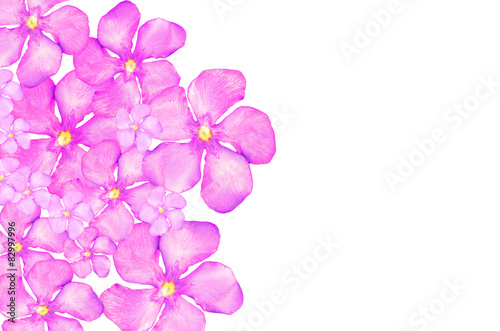 Background of pink flowers