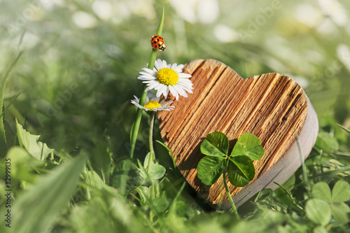 wooden heart, daisies and ladybird photo