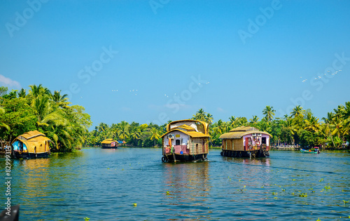 Houseboats in the backwaters of Kerala, India photo