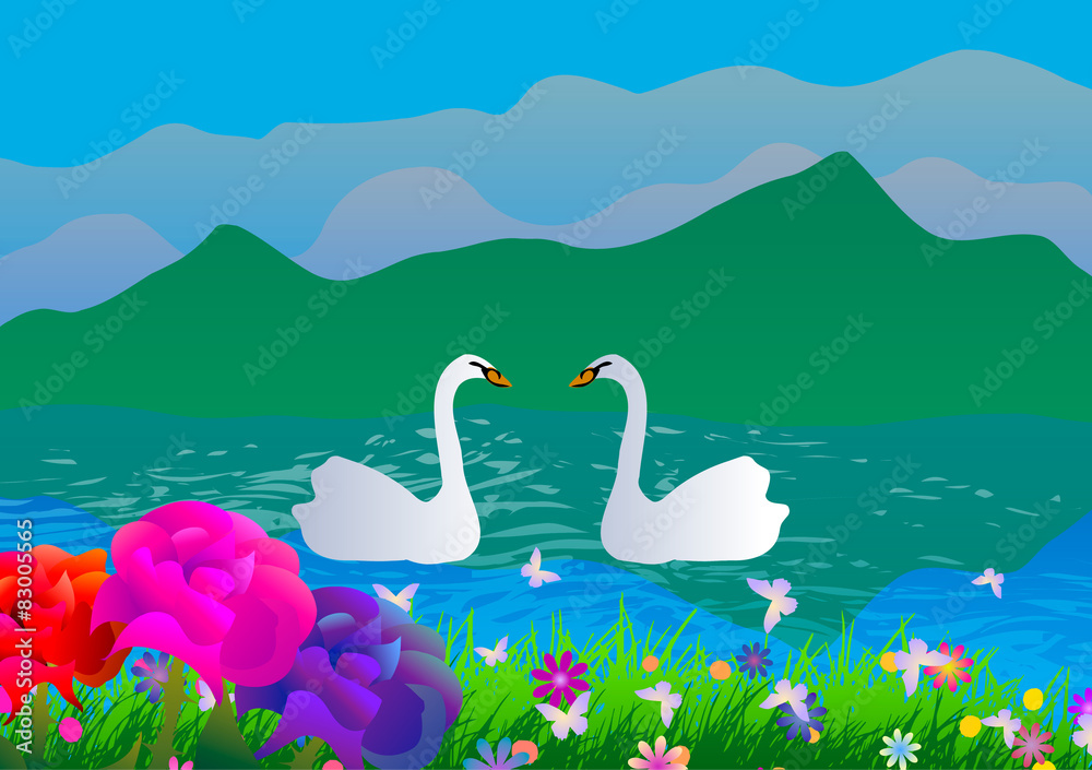 Obraz premium Vector illustration. Two swans in the lake.