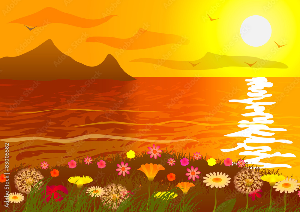 Flower field on the ocean at sunset.