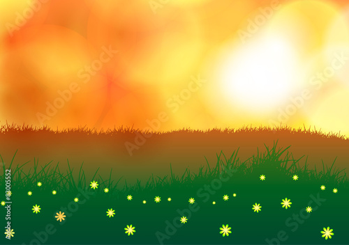 Vector illustration. Field with flowers at sunset.